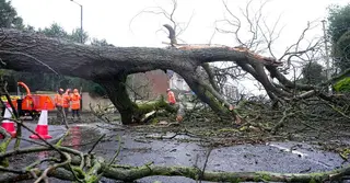 ঝড় সান্দ্রার তাণ্ডবে যুক্তরাজ্য লণ্ডভণ্ড